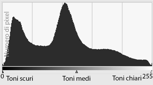 istogramma1