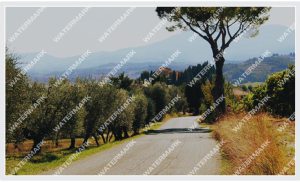 watermark tilling